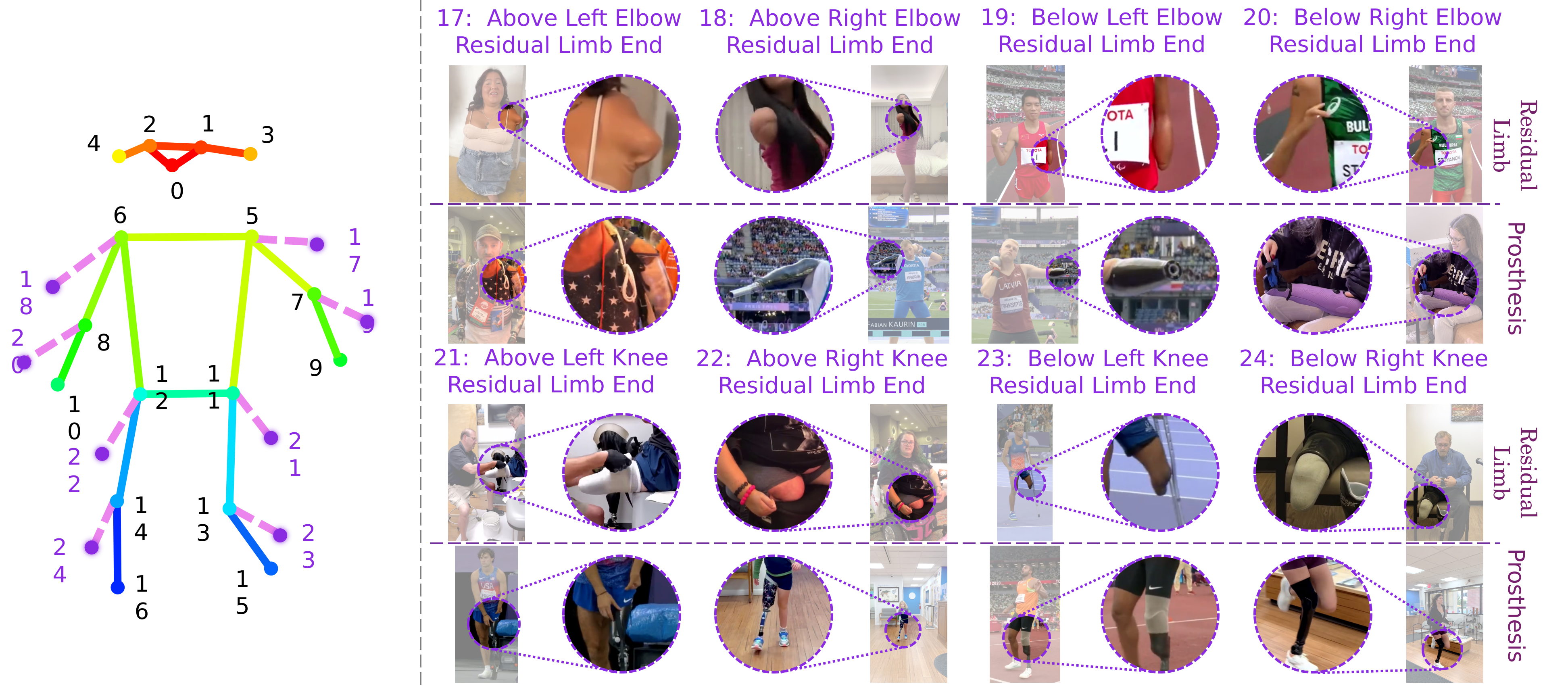 Keypoint Schema Visualization